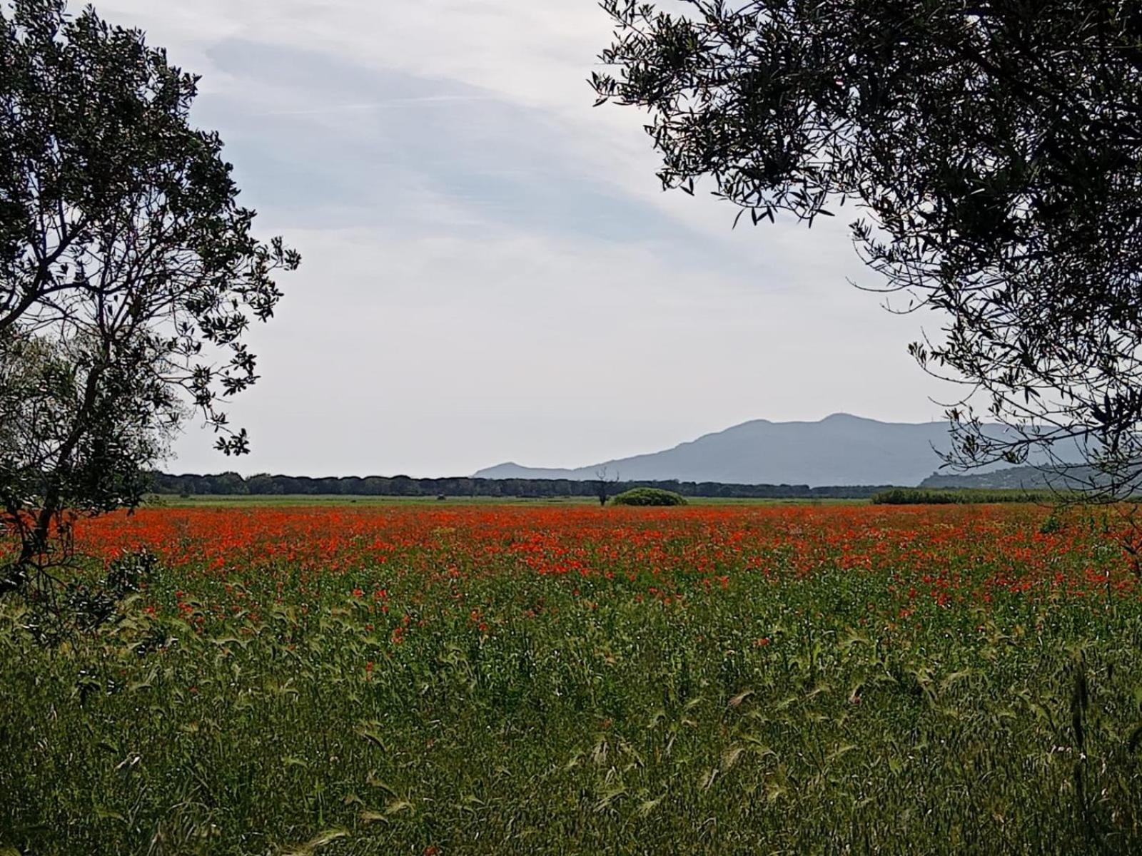 Apartamento Casa Vacanze Capalbio *