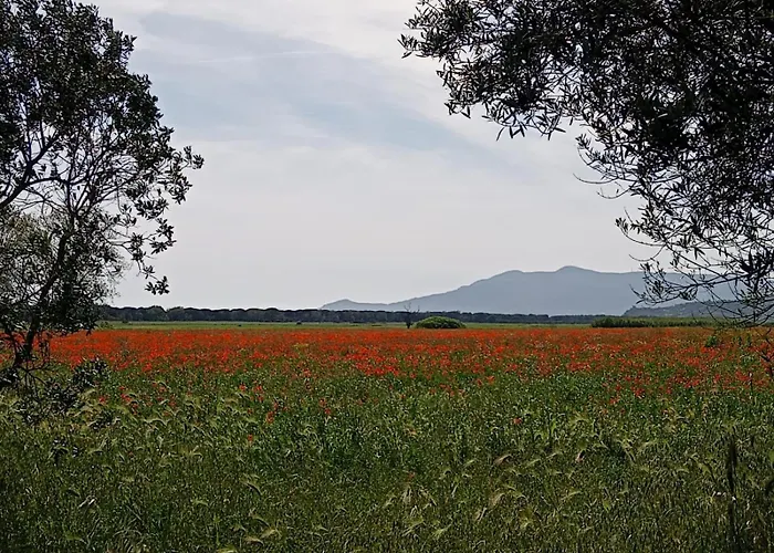 Casa Vacanze Capalbio