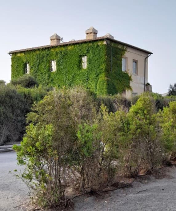 Casa Vacanze Capalbio